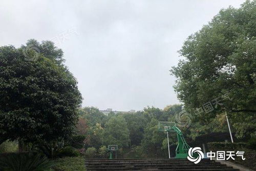 台风 狮子山 外围云系及冷空气共同影响 湖南今明天风大雨急