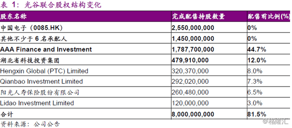 中电光谷的企业文化是什么？