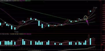 赔钱清空再重新买同一只股票，成本价是按新买的算吗