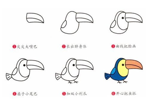 如何画鸟 鸟简笔画步骤图 