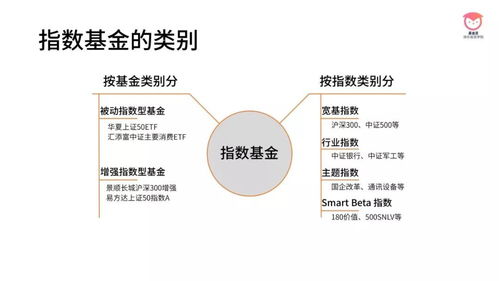 指数型基金包括哪些类型的基金