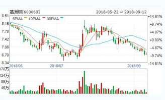 9月13日宣布10送30的股票