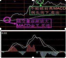 每天做股票向下做t+0犯法吗