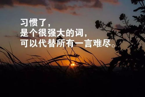 每天早晨发的励志的话语,一路艰辛的励志句子？