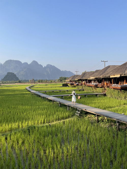 老挝自由行 万荣 稻田酒店 太出片了 