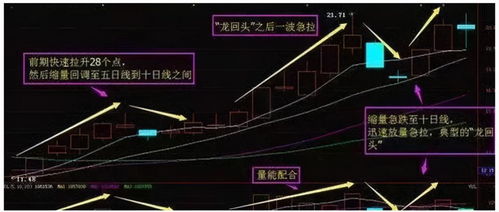 请高手把股票2650战法的选股发一下，森林呐喊的选股公式，最好全一点，不胜感激！！