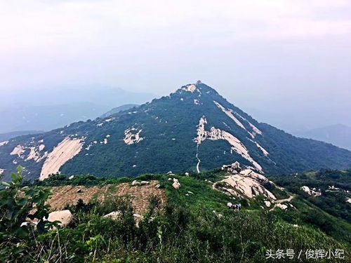 奔跑金顶山 