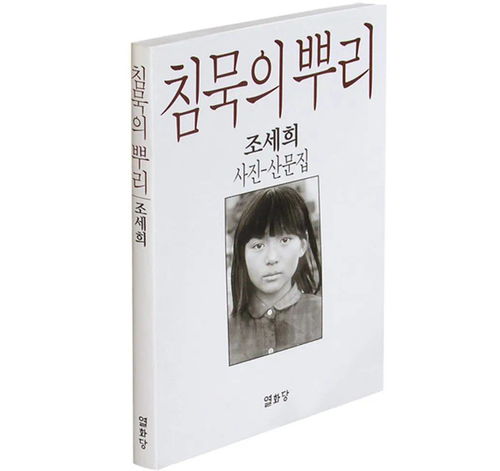 韩国比较著名的书籍(韩国优秀书籍)