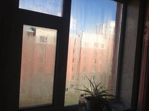 秋冬季节室内窗户上有哈气 如图 是什么问题 是胶条漏气还是怎么回事 