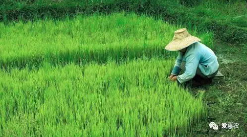 如果农民不种地,粮食全从国外进口会怎么样呢