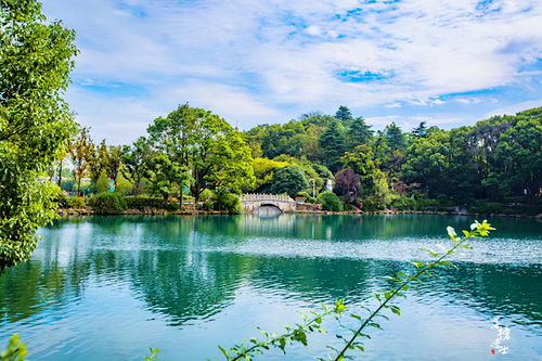 秋天去南京浦口旅游,这三个地方别错过,好看好玩还充满文艺气息