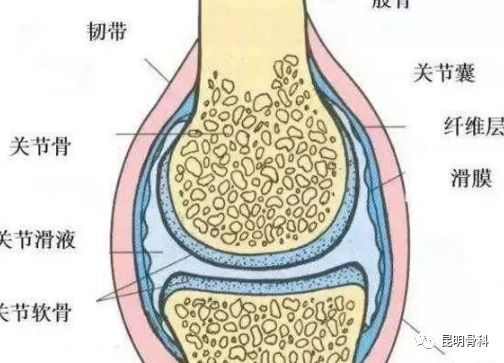 膝盖积液抽了还会有吗 