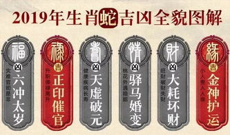 智德师傅 2019年生肖蛇运势精准预测 男命篇