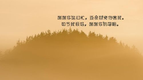 写给傻傻的自己的一句话,刺心入骨,有没有一句说中你的心事