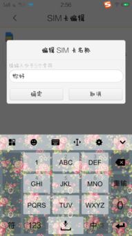怎么解决求帮助,我的手机SIM卡编辑名字只能两个字 
