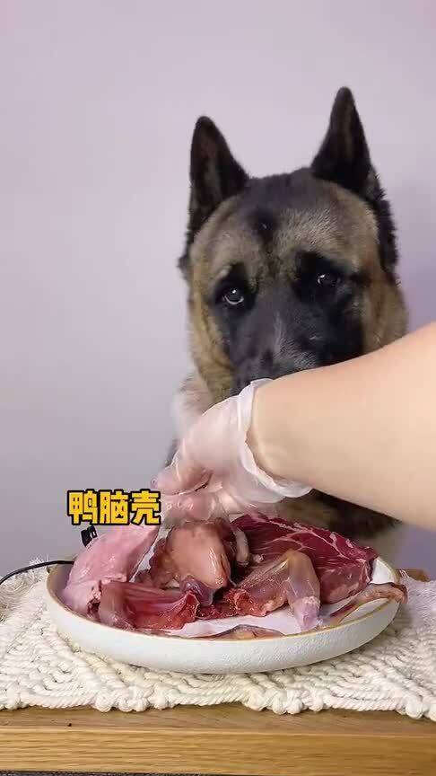 吃生肉的狗狗咬人吗 看到吃鱼油的那一刻,你就明白了 