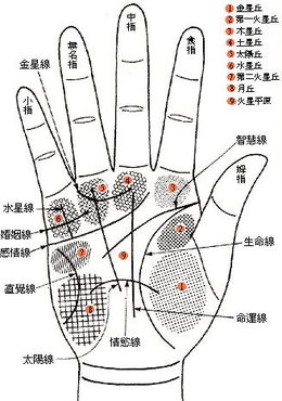 谁会看手相 帮忙看下手相呗 