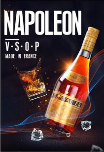 法国进口洋酒拿破仑爵士vsop白兰地 原装原瓶威士忌700ml