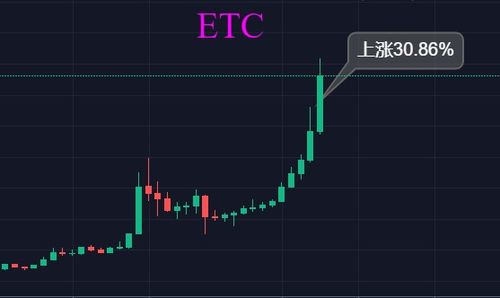 etc币最高涨到多少