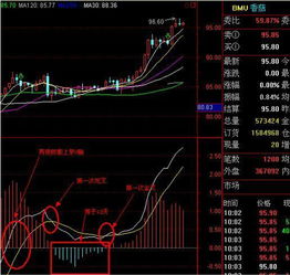 我在网上找了一个炒股平台，资金没有经过我手，结果那个平台跑路了，我要负法律责任么？该怎么办？