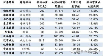 科创板单只股票最多可以买入多少比例