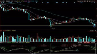 个股早盘急跌怎么看止跌信号出现