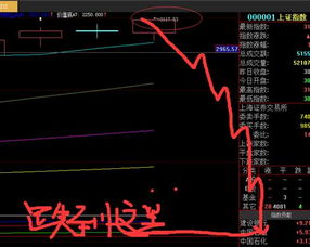 大盘是否又要开始新的一拨下探?请专家指示下周如何操作股票?