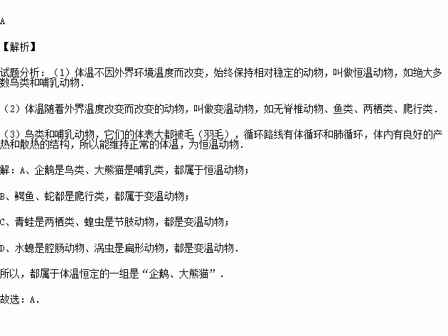 在下列动物中都属于体温恒定的一组是