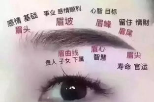 看眉毛知运势 