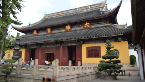 苏州规模最大的寺庙,被称为 吴门首刹 ,里还有即将灭绝的巨鼋