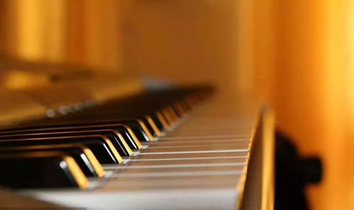 为什么很多人都选择卡尔巴赫钢琴作为音乐启蒙乐器