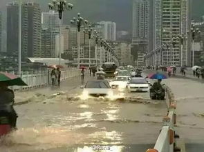 重庆遭遇最强暴雨 多区县灾情严重 多图 