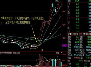 新股民买股票的特征有哪些