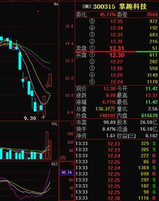 散户持股必知，掌趣科技如今倒是该出手还是加仓