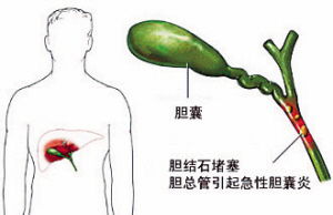 哈尔滨日报数字报