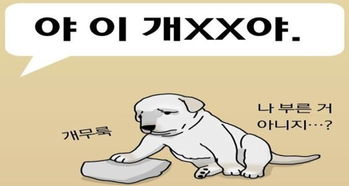 韩语中用来骂人的 狗 不是狗狗 是私生子