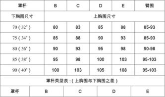 内衣文胸尺码怎么看 