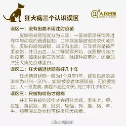 犬证怎么办理 在哪里办 需要什么材料