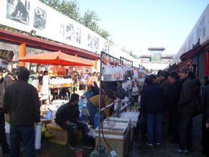 北京有几个花鸟鱼虫市场 都在哪 