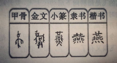 今日解字 燕 学完 燕 字,爱上燕子