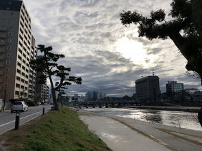 日本东京大阪京都廉价购物团