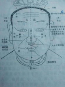 怎样从面相上断坟地向口方位的相法密诀转载 