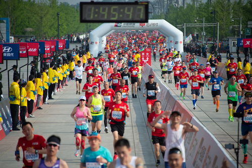 北京半程马拉松开跑 男女赛会纪录刷新