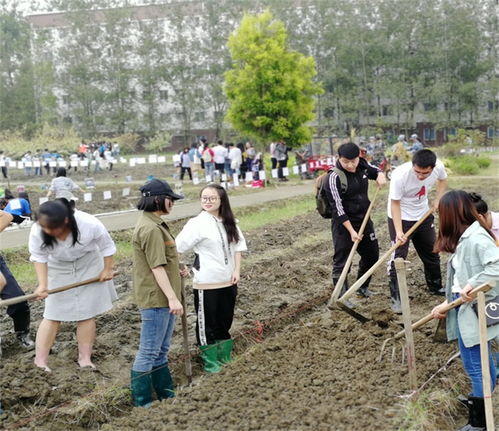 大学学农业，毕业去种地有前途吗(大学读农业好不好)