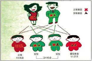 客家人的地中海贫血遗传病为什么那么严重(客家人地贫基因)