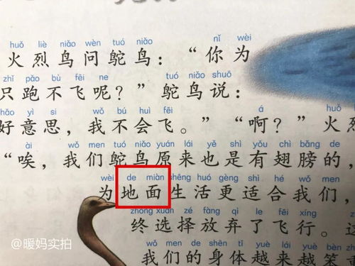 6个字的关于读书的诗句