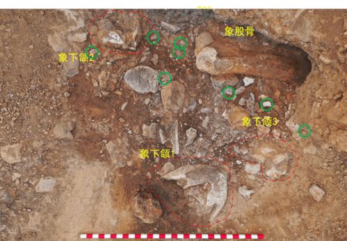 旧石器时代考古新发现 国家文物局通报3项重要研究成果