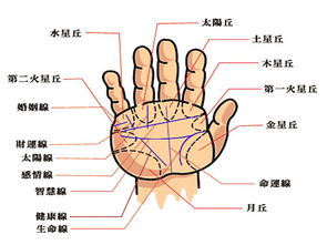 手纹杂乱的人命运如何 女人手纹乱怎么应对
