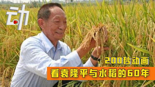 动画 200秒看袁隆平与水稻的60年 