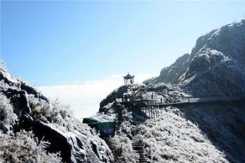 谁说广东人的冬天没有雪 玉龙雪山 之称的金子山,宛如仙境